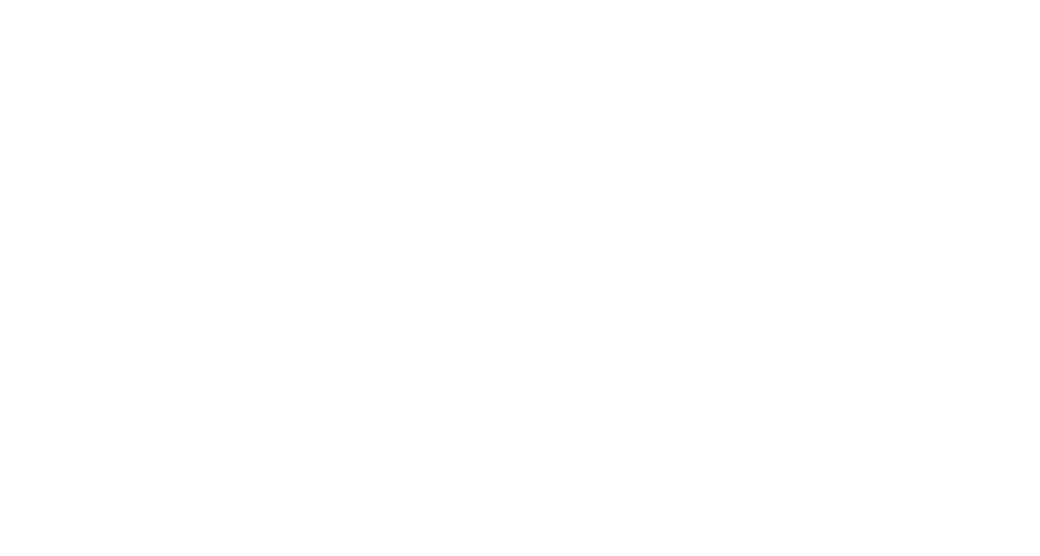 Bueno Netto